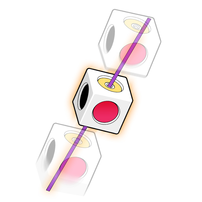 Cubo obbediente Apprendimento  - Electronics And Gadgets Ce recensione e prezzo